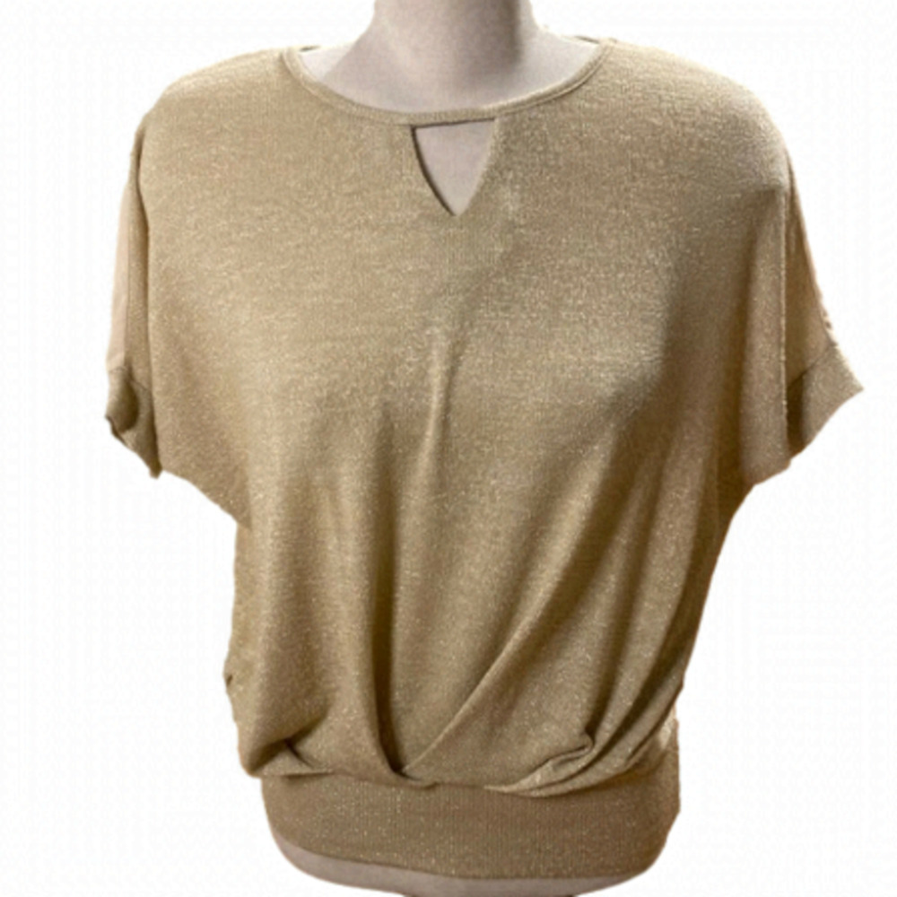 Streetwear Society Short Sleeved Sheer Paneled  Oatmeal Woman's Top (Size Small)